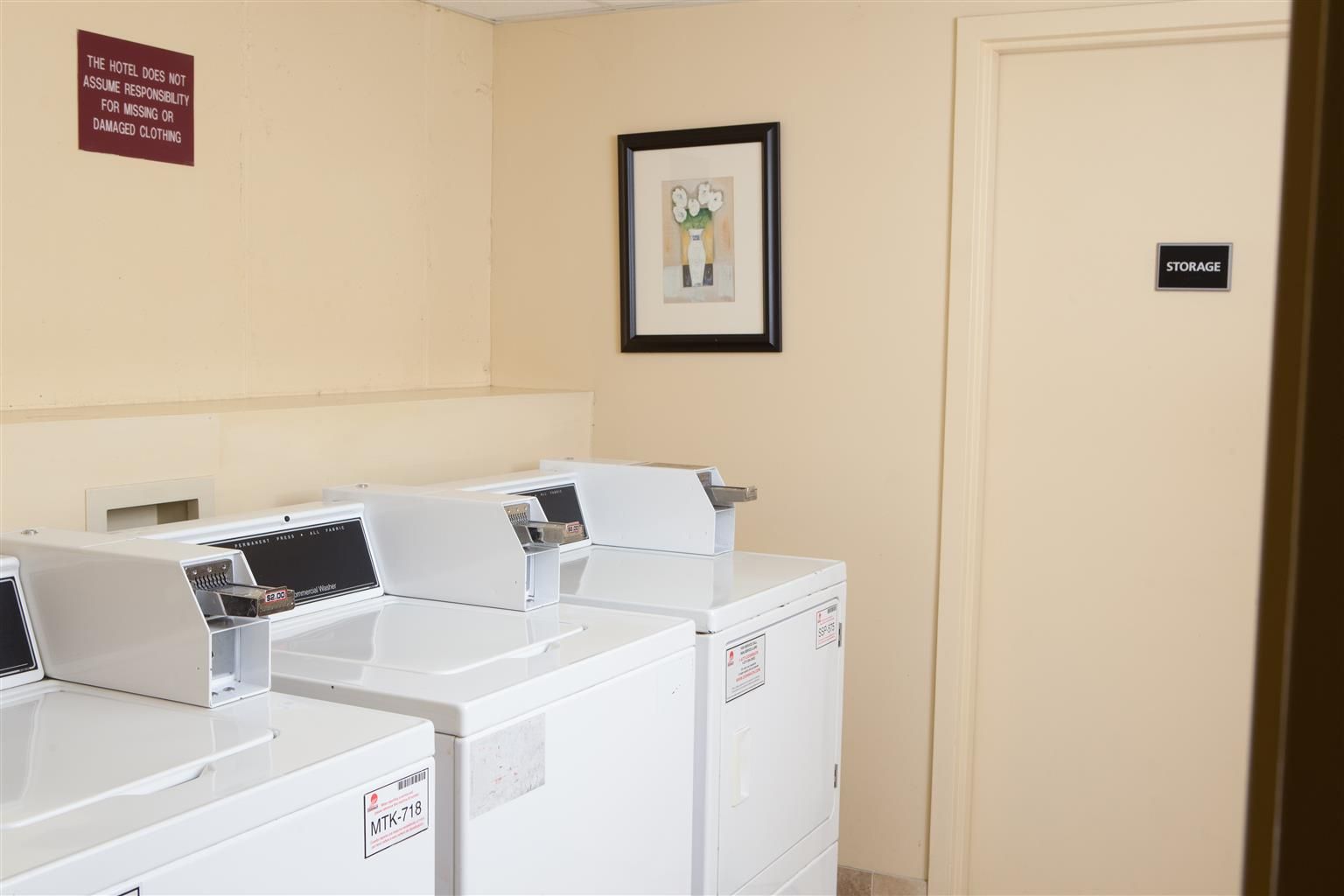 Best Western Plus Portsmouth Chesapeake Hotel - photo 6