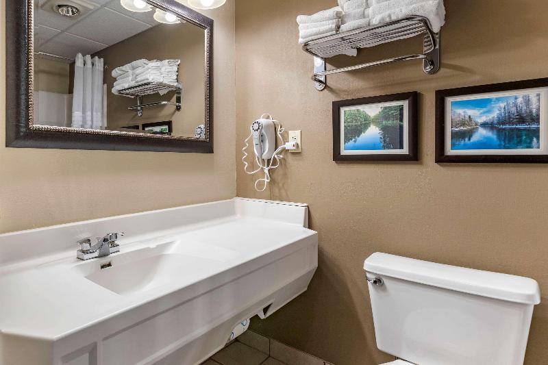 Comfort Inn Manistique MI - photo 75