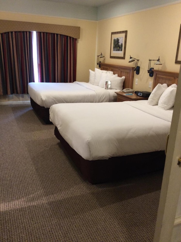 Senator Inn & Spa - photo 10