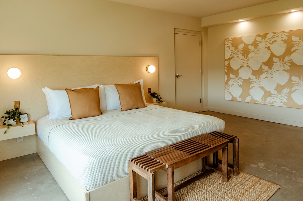 Brut Hotel - photo 15