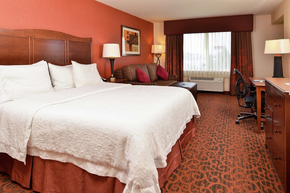 Hampton Inn Idaho Falls Airport - photo 13