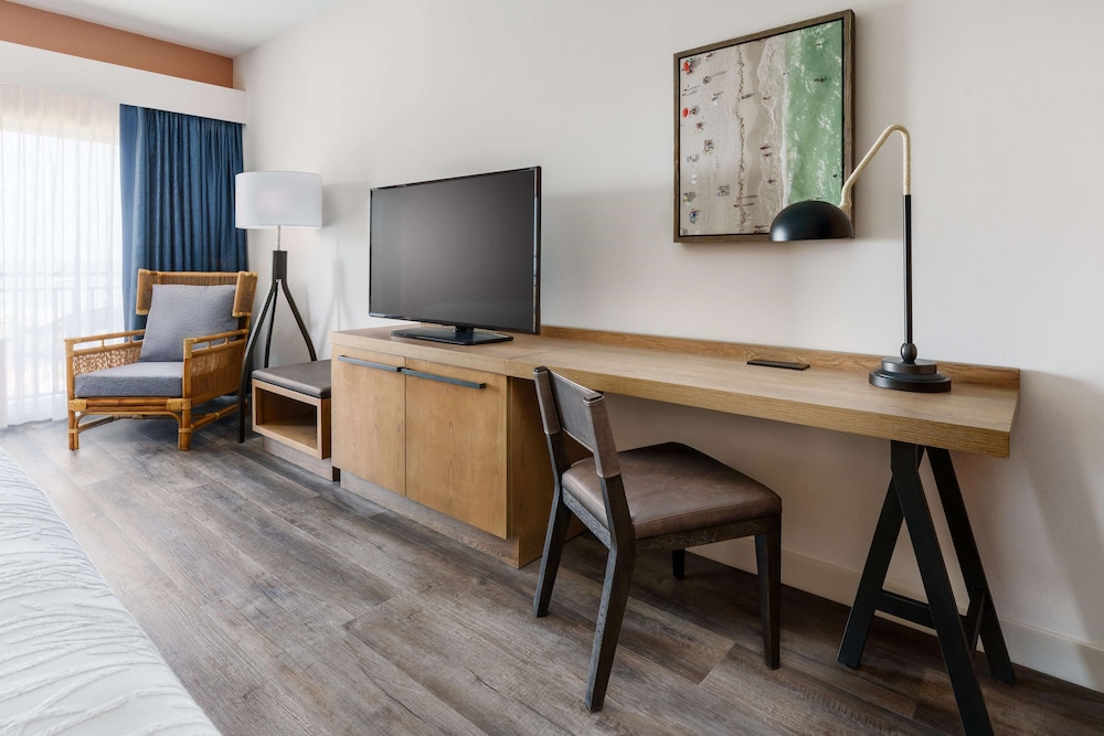 Hilton Garden Inn St. Pete Beach - photo 12