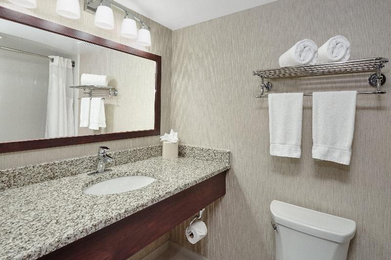 Holiday Inn & Suites Chicago Carol Stream by IHG - photo 10