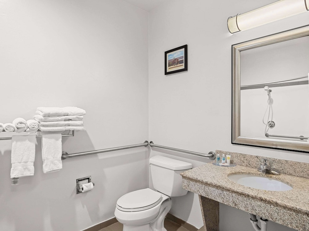 Comfort Suites Lindale Tyler North - photo 6