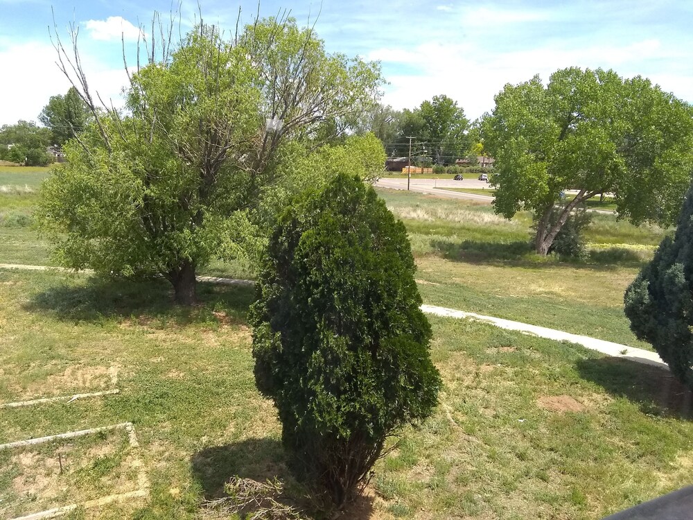 American Holiday Mesa Verde Inn - photo 25