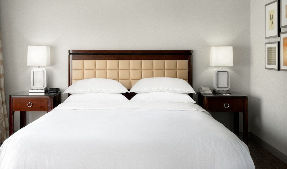 Sheraton Suites Orlando Airport - photo 8