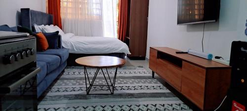 Affordable Studio Apartment Kasarani Seasons Road