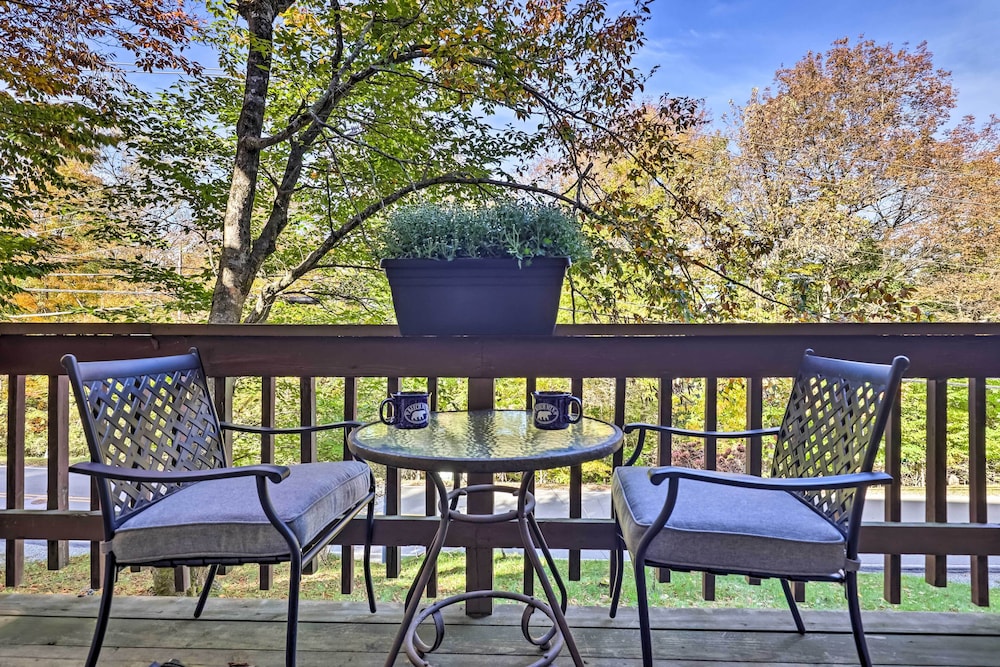 Pet friendly Condo: Walk to Beech Mtn Resort - photo 21