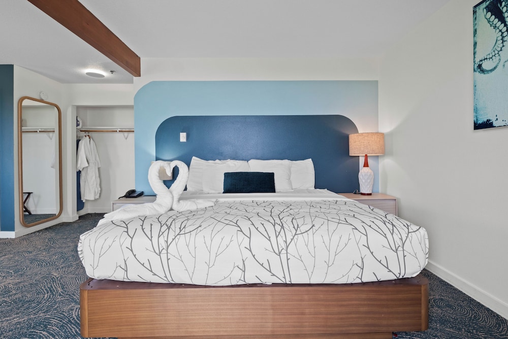 Adobe Resort - photo 59