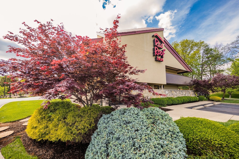 Red Roof Inn Cincinnati Northeast Blue Ash - featured photo