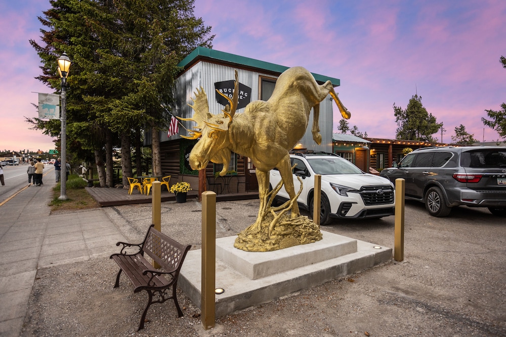The Bucking Moose - photo 129