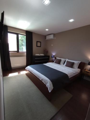 Vila Gosen — 4-Star Luxury Hotel in Sard, Romania