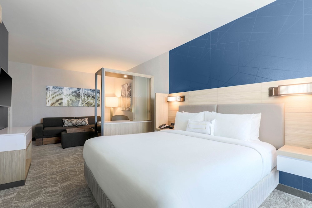 SpringHill Suites by Marriott San Jose Fremont - photo 8