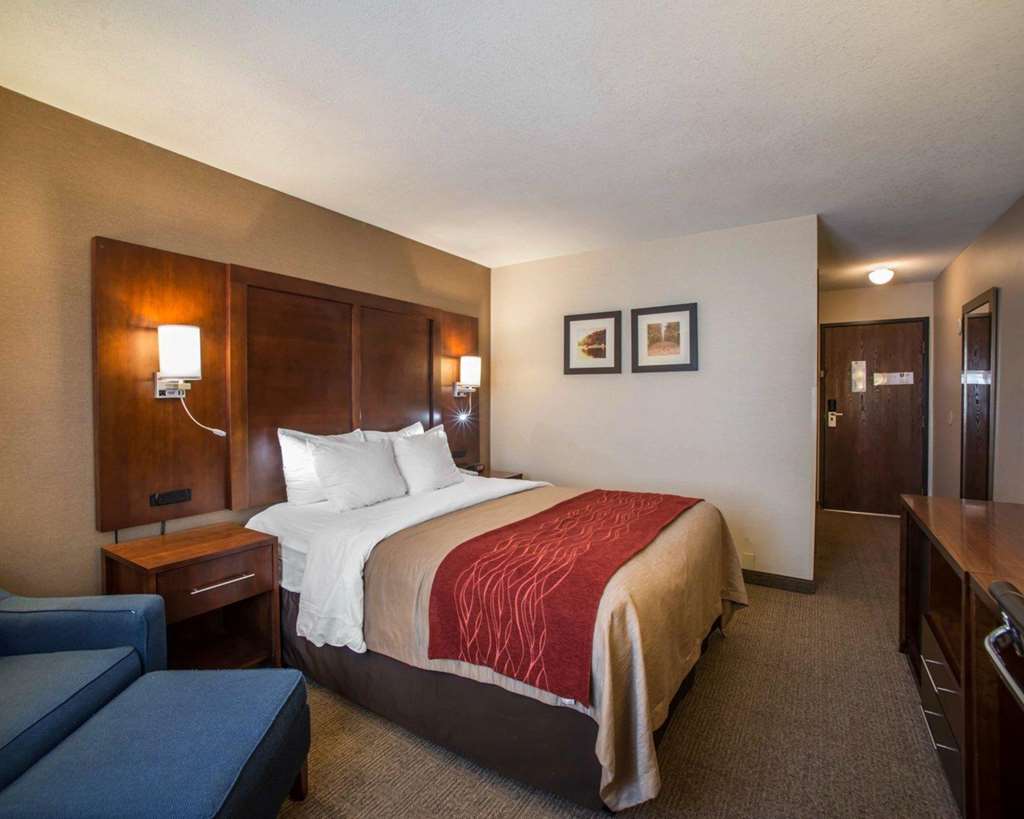 Quality Inn & Suites Boonville Columbia - photo 8