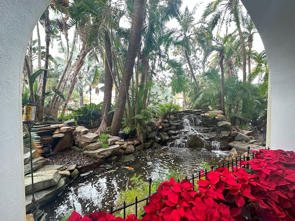Tahitian Inn - photo 63