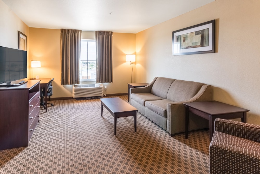 Cobblestone Hotel & Suites Pecos - photo 8