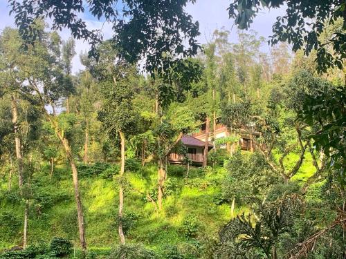 Serene Woods - carbon neutral hotel in Madikeri