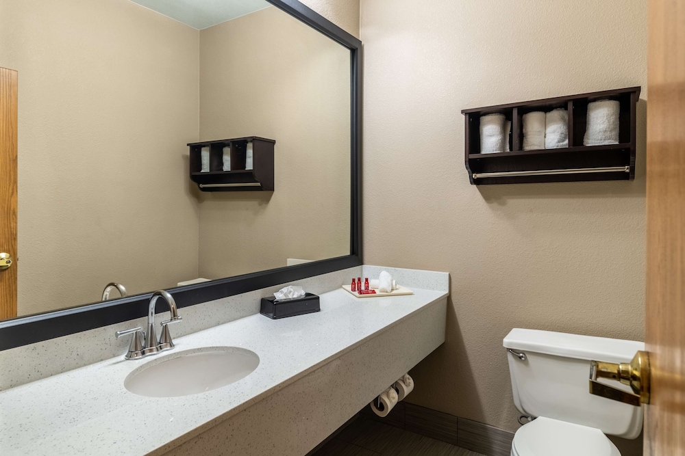 Comfort Suites Plano East Richardson - photo 39