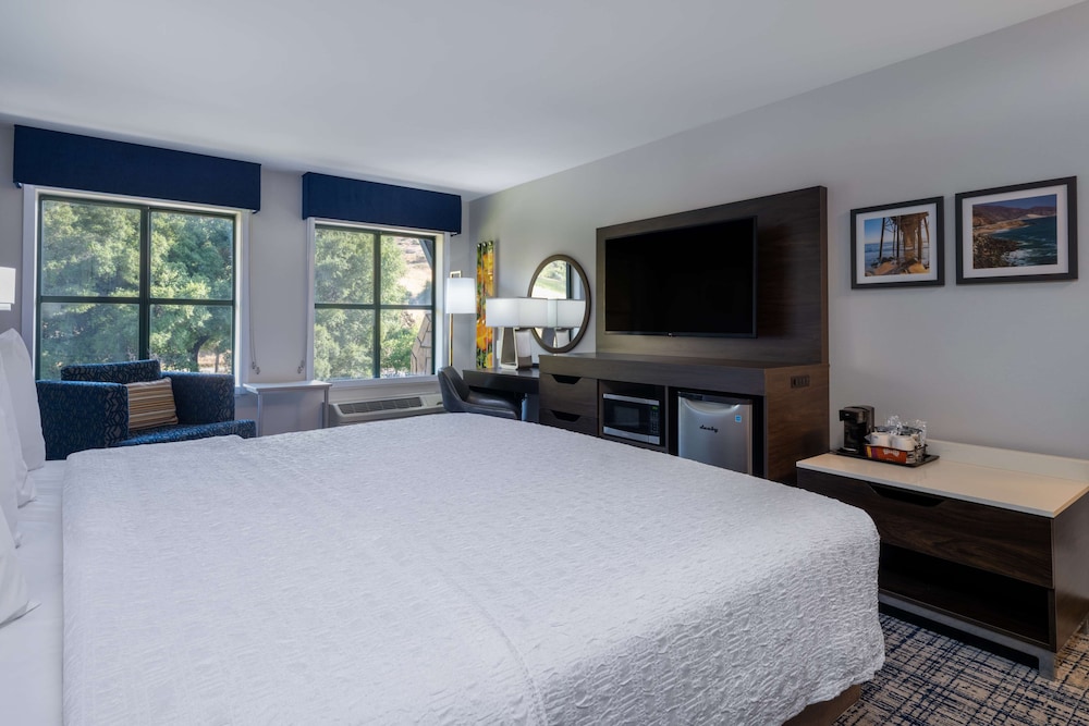 Hampton Inn & Suites Agoura Hills - photo 9