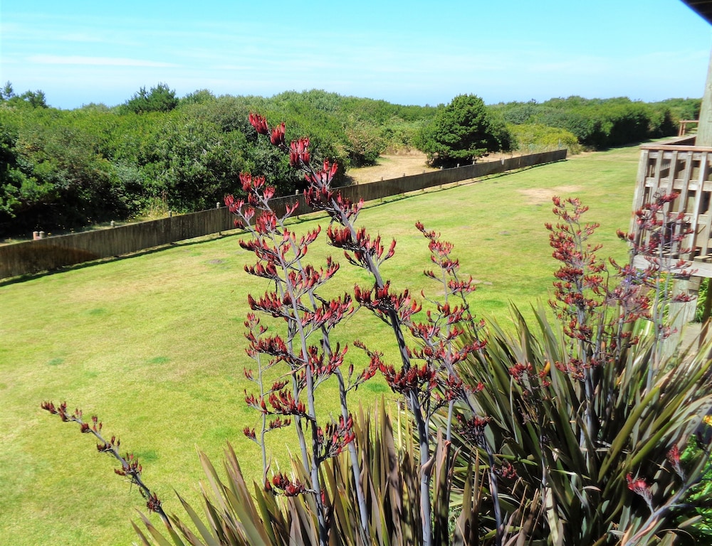 The Polynesian Resort - photo 18