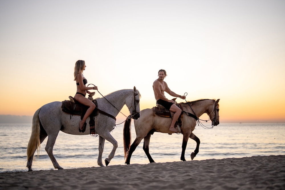 Horseback riding
