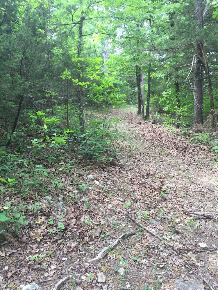 Cherokee mountain log cabin resort - photo 54