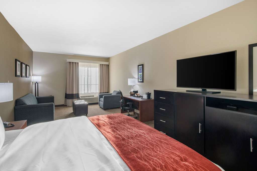 Comfort Inn & Suites Cedar Hill Duncanville - photo 22