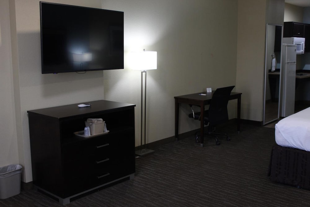 Horizon Inn & Suites Pearsall - photo 11