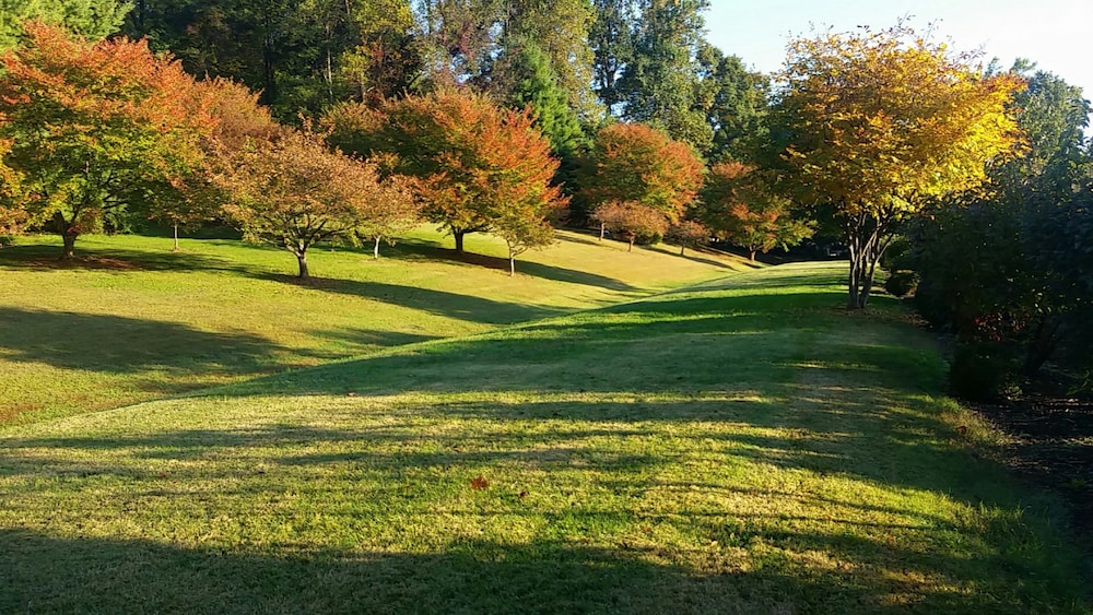 Albemarle Estate at Trump Winery - photo 206