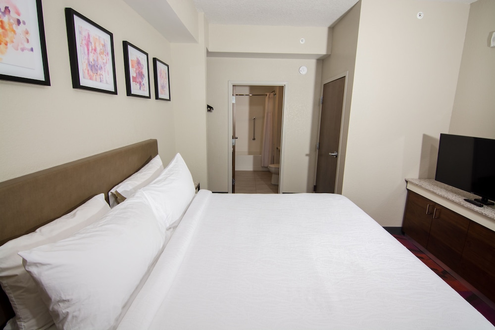 Hilton Garden Inn Tampa Suncoast Parkway - photo 13