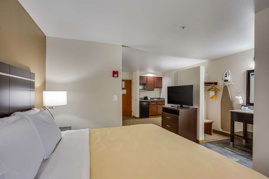 Quality Inn & Suites Meridian West Boise - photo 27