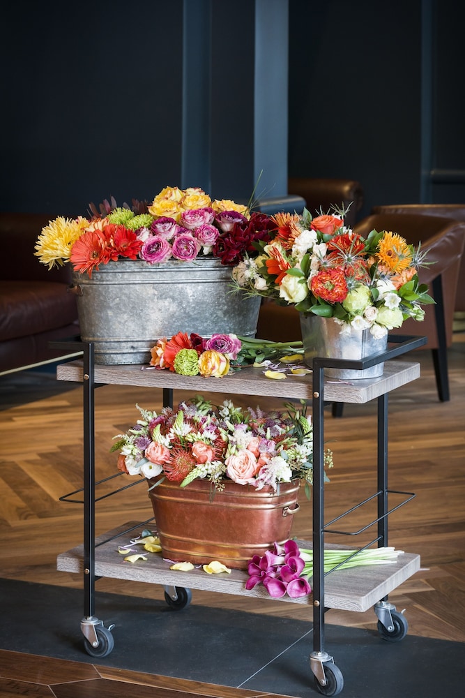 The Darcy Hotel - photo 4