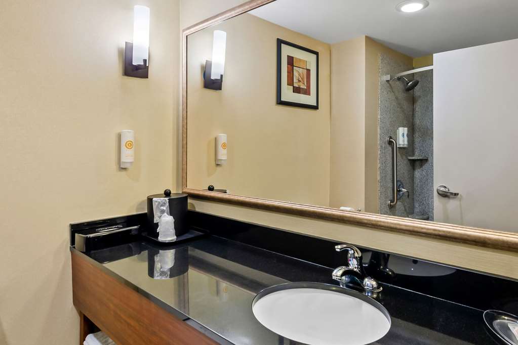 Comfort Suites Salem Roanoke I 81 - photo 10