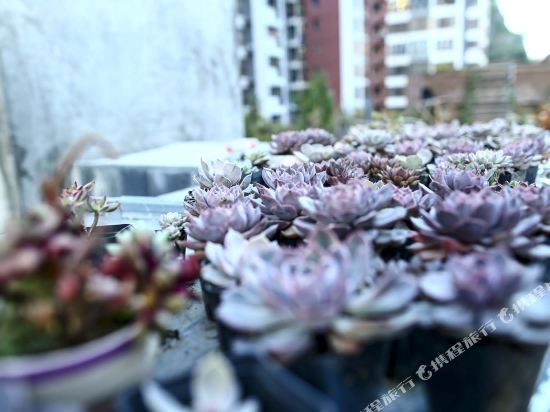 xiboyuan Hotel - last minute hotel in Guiyang
