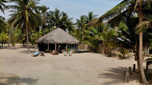 EcoPalapa Mimí — hotel in Tuxpam De Rodriguez Cano