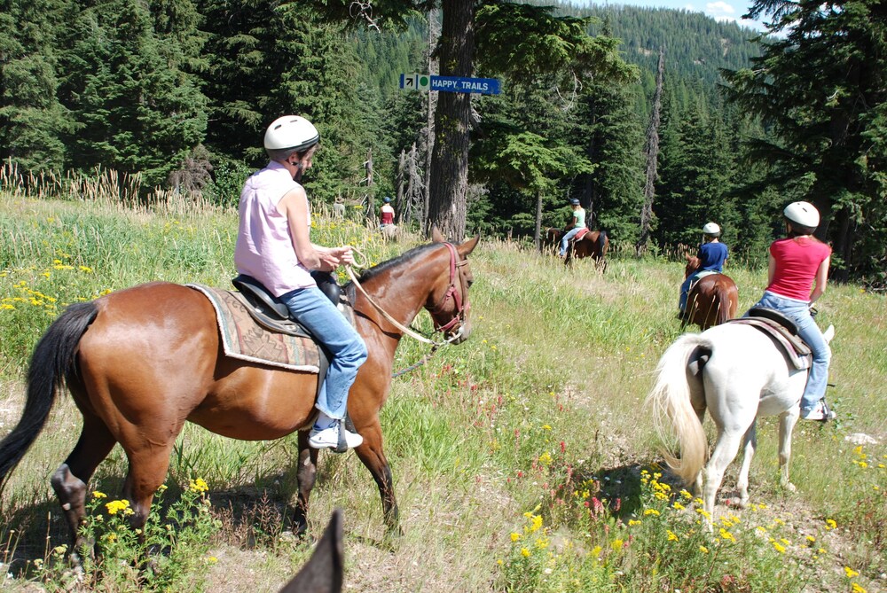 Schweitzer Mountain Resort White Pine Lodge - photo 23