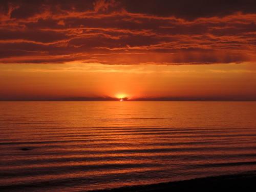 Woodland Cedars Family Cottage Resort in Wasaga Beach, Canada