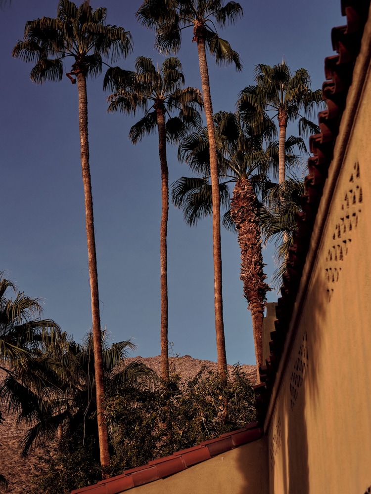 The Willows Palm Springs - photo 105