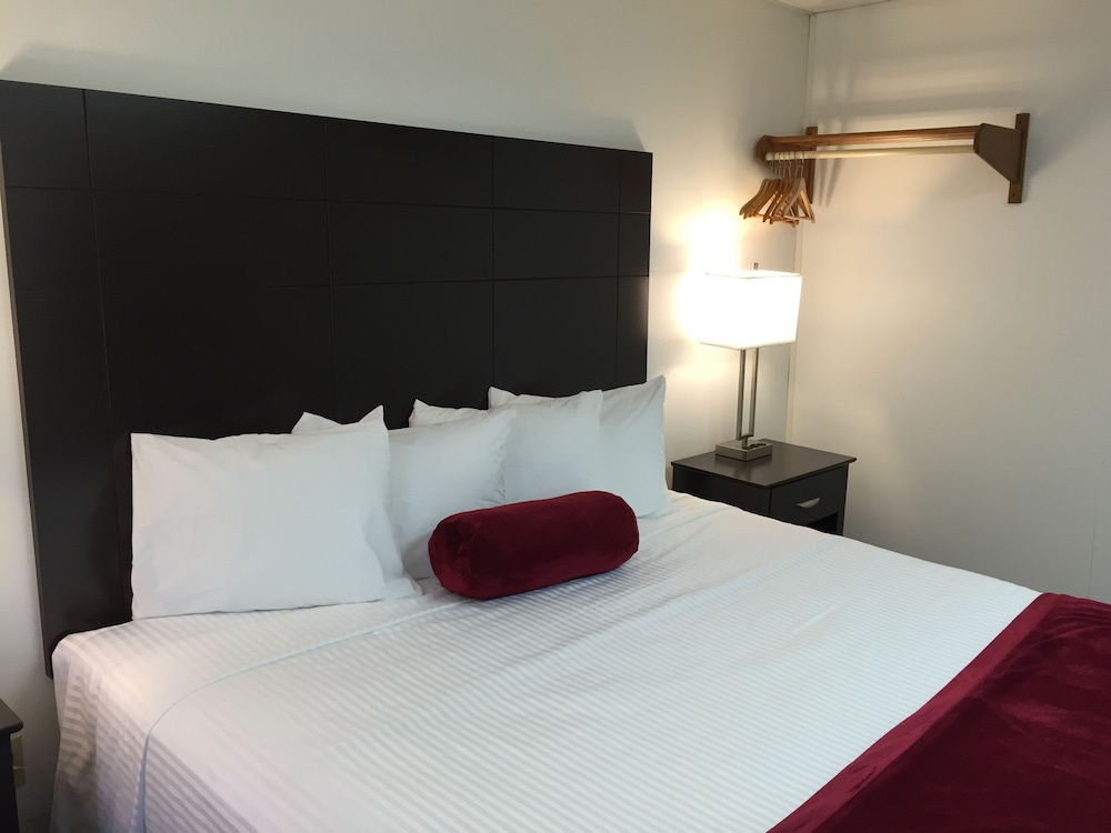 The Wellington Hotel & Suites Oceanblock - photo 9