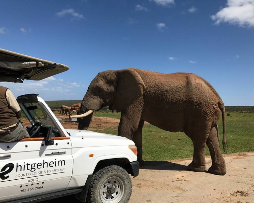 Hitgeheim Country Lodge — 5-Star Luxury Hotel in Kirkwood, South Africa