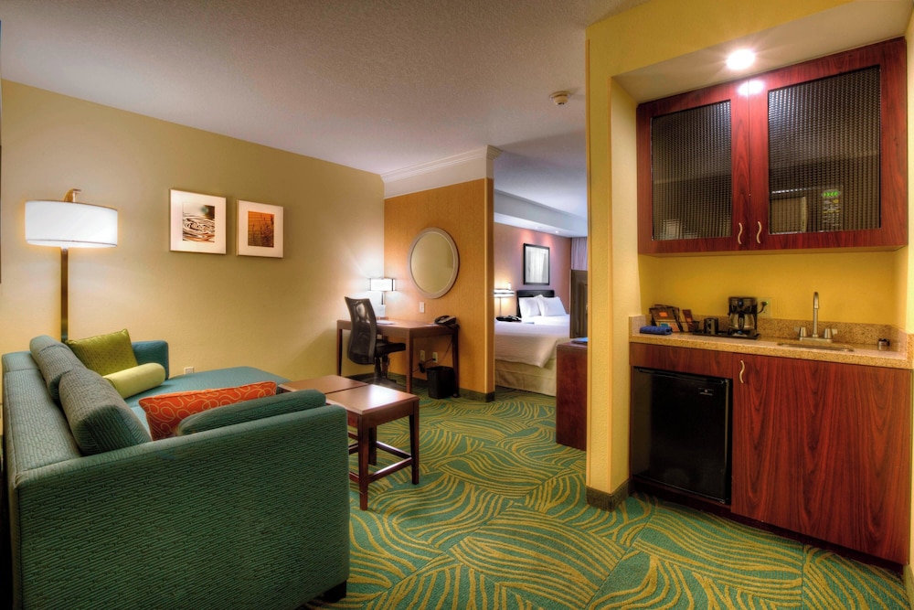 Springhill Suites by Marriott Tampa Brandon - photo 7