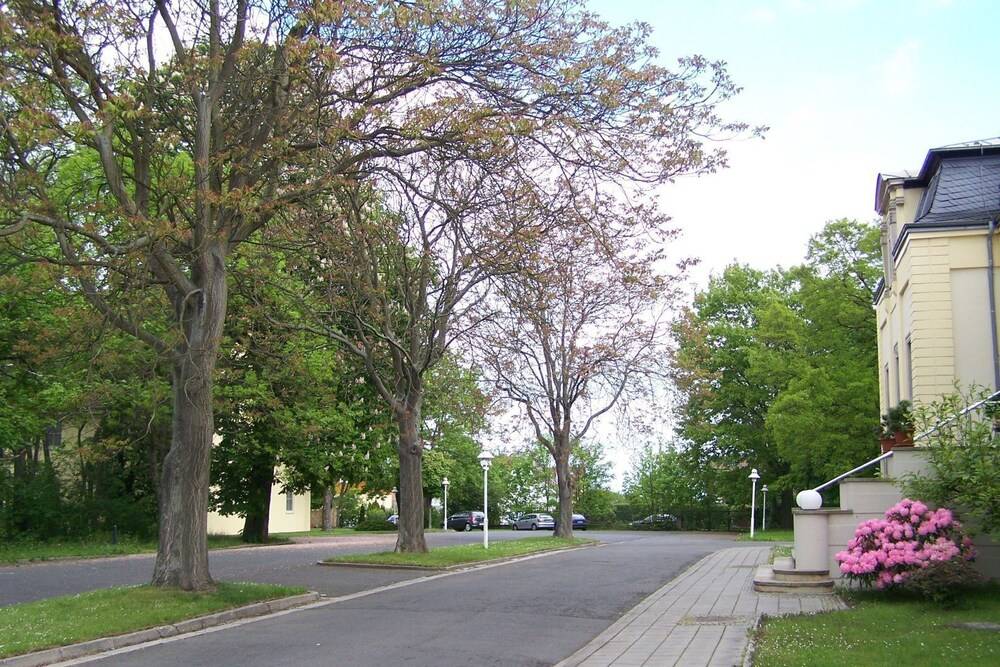 Outdoor Banquet Area