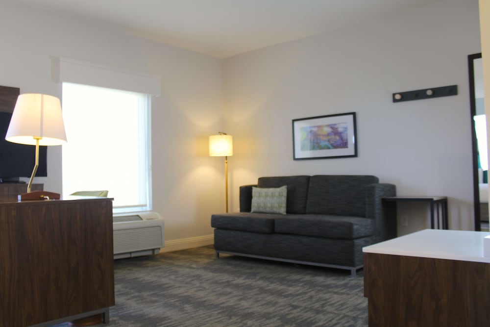 Hampton Inn & Suites Sarasota Bradenton Airport FL - photo 11