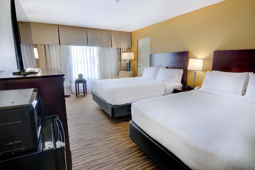 Holiday Inn St Petersburg N Clearwater by IHG - photo 13