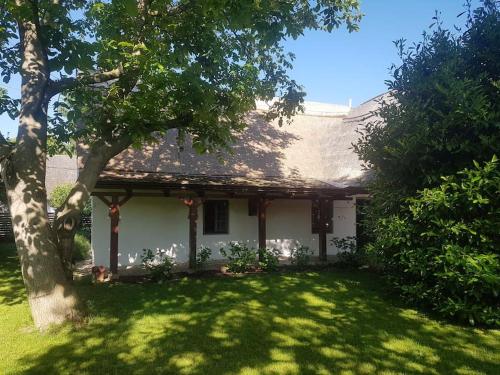 Nádtetős ház Gyenesdiáson a vízpart közelében in Gyenesdias, Hungary