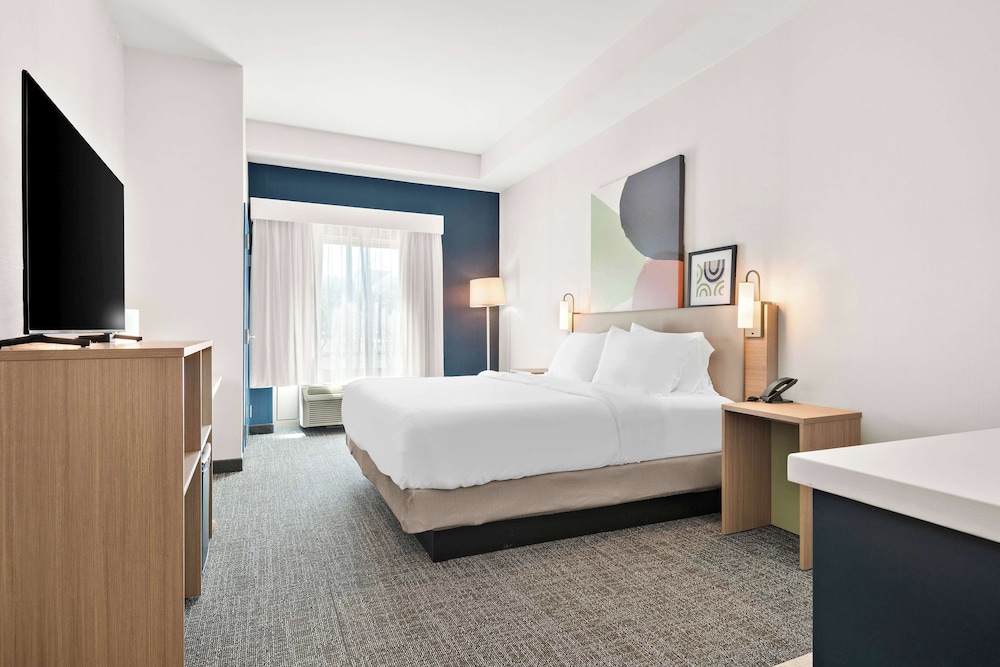 Spark by Hilton Exton - photo 12