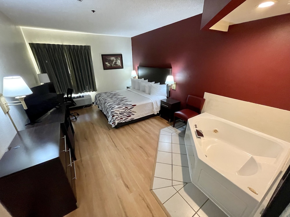 Red Roof Inn Clyde - photo 6