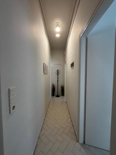 Sirius Escape — Spata — photo 5