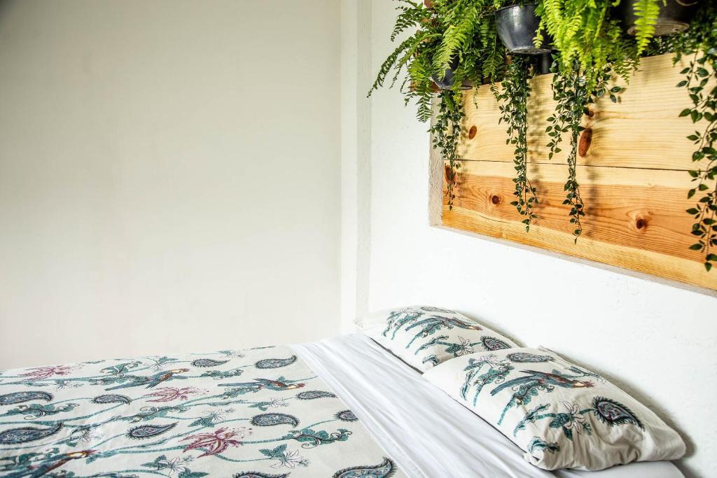 Colibrí Turquesa By Rotamundos in Tepoztlan, Mexico