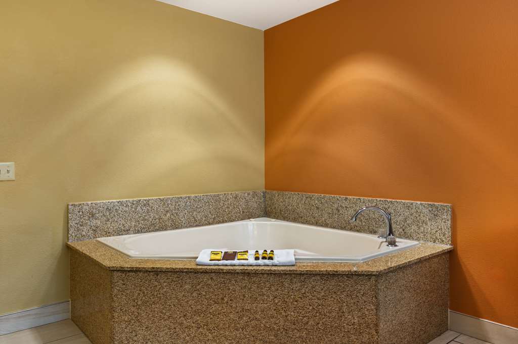 Best Western Plus Georgetown Corporate Center Hotel - photo 12